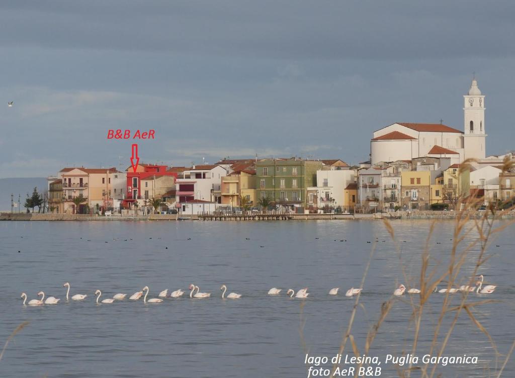 L'ISOLA AeR B&B