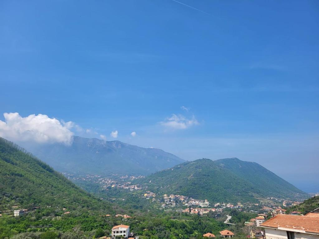 Agriturismo L'Uliveto