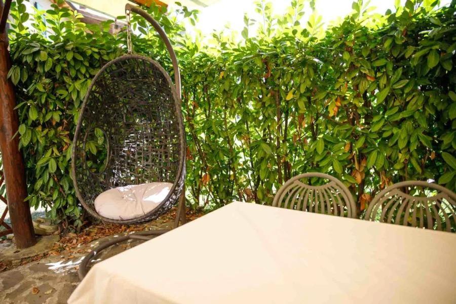 Agriturismo Podere Bucine Basso