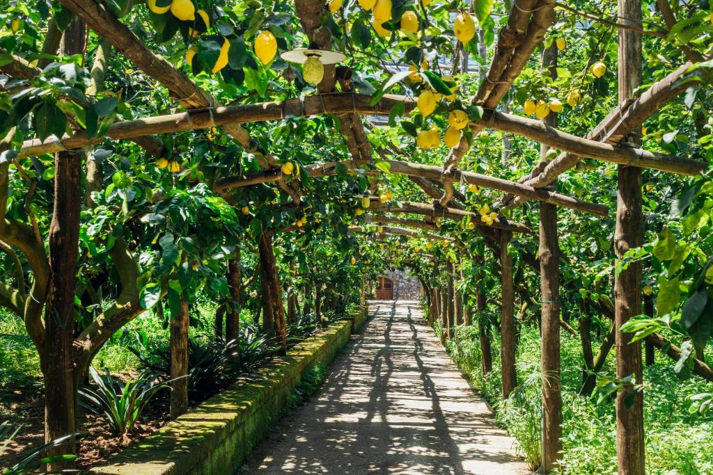 Agriturismo Il Giardino di Vigliano