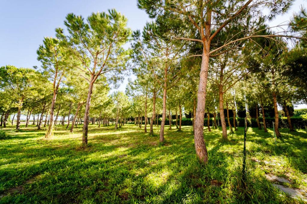 Agriturismo Bio San Mamiliano