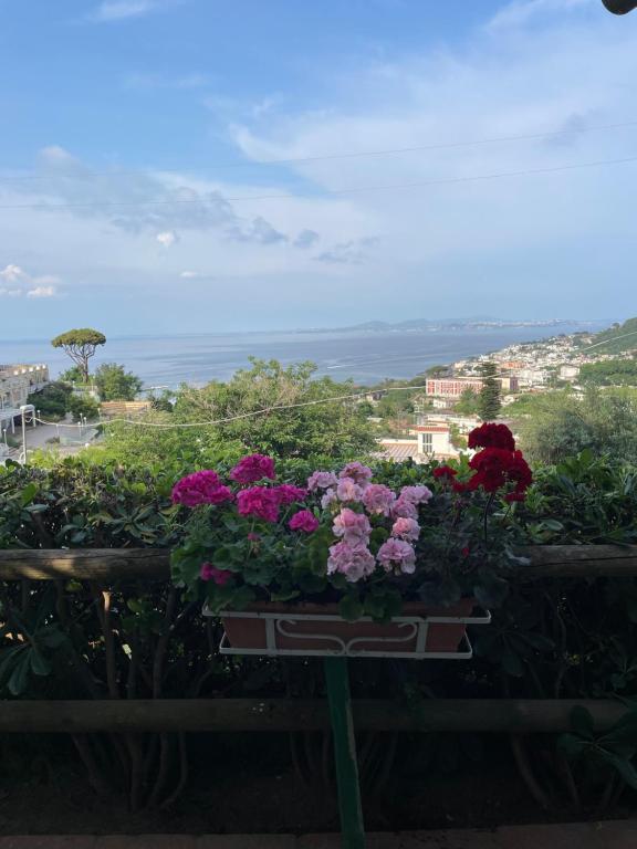 Guesthouse Coralba