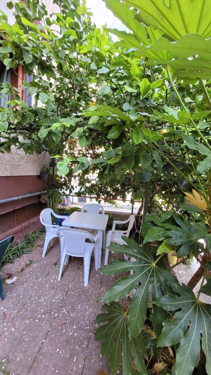 Casa Anselmo Guest House