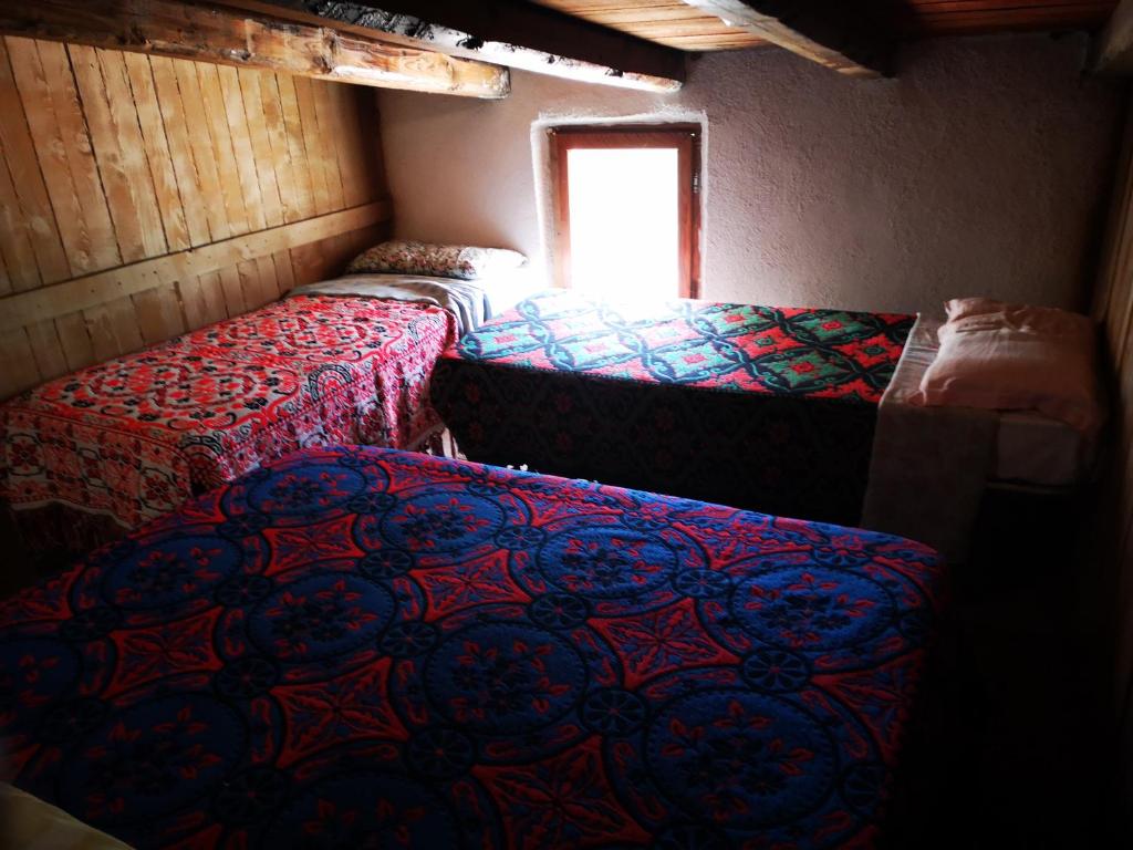 Pinnettu sardo casa di campagna in ecosistema insetti e animaletti simpatici in condivisione, stanza matrimoniale senza finestra, Leggere attentamente Prima di prenotare