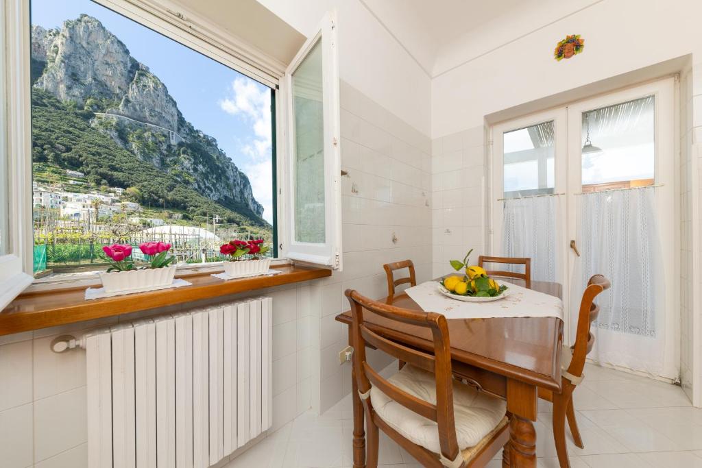 Casa Mavi