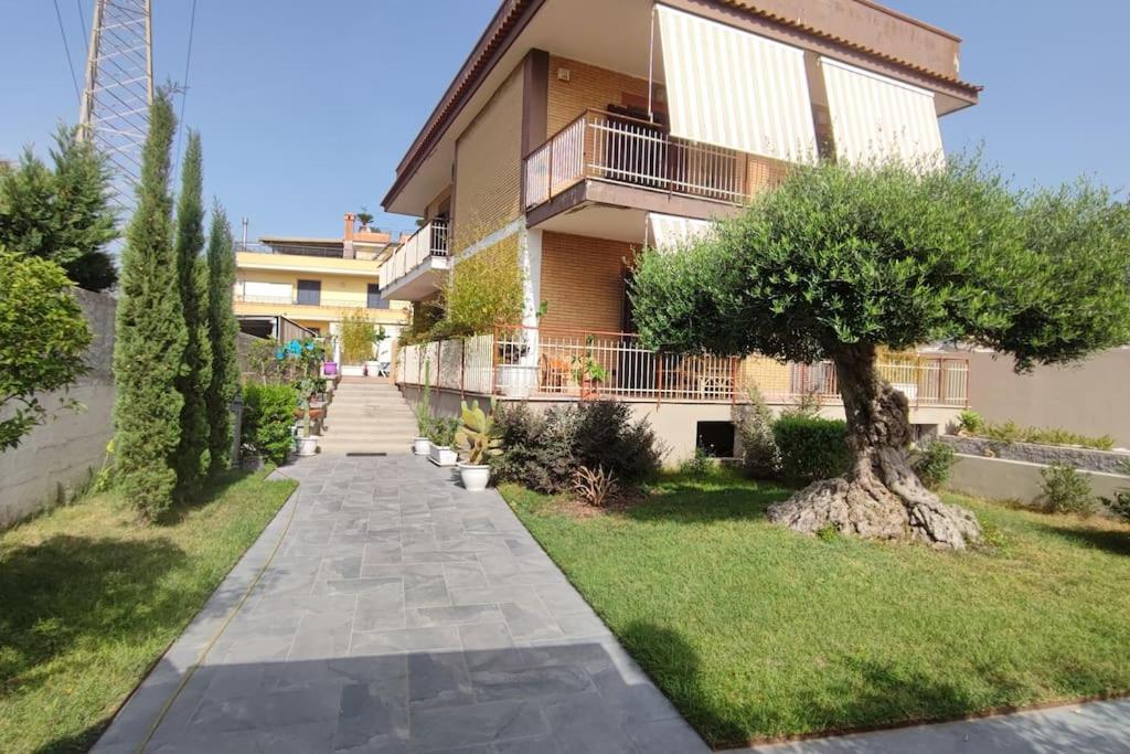 Casa Papa