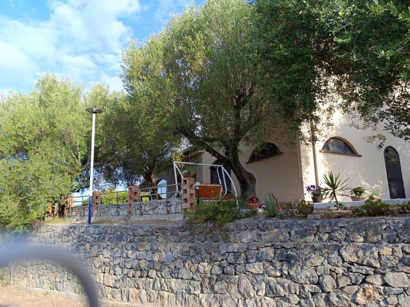 B&B Cilento Borgo San Antonio