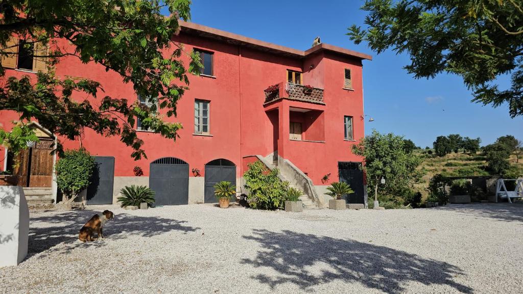 Tenuta degli Ulivi - Dimora Contadina