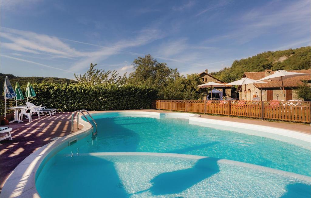 Il Fantino