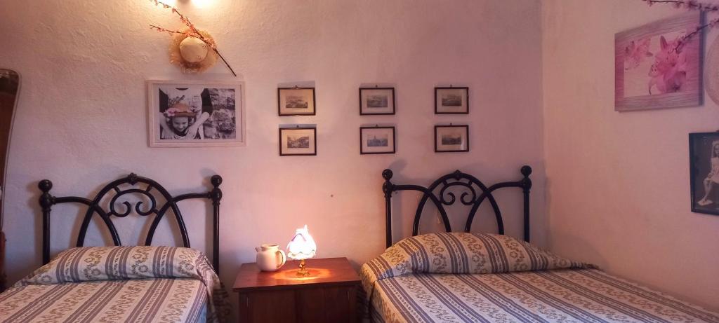 La Casa del Gallo