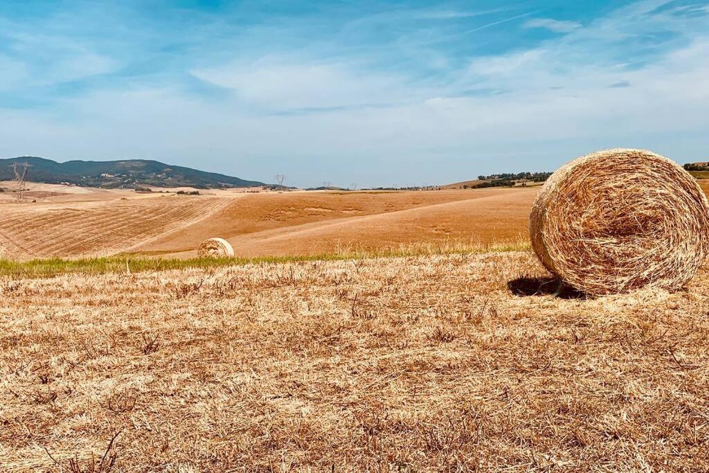 Vacanze sulle colline Toscane ad un passo dal mare