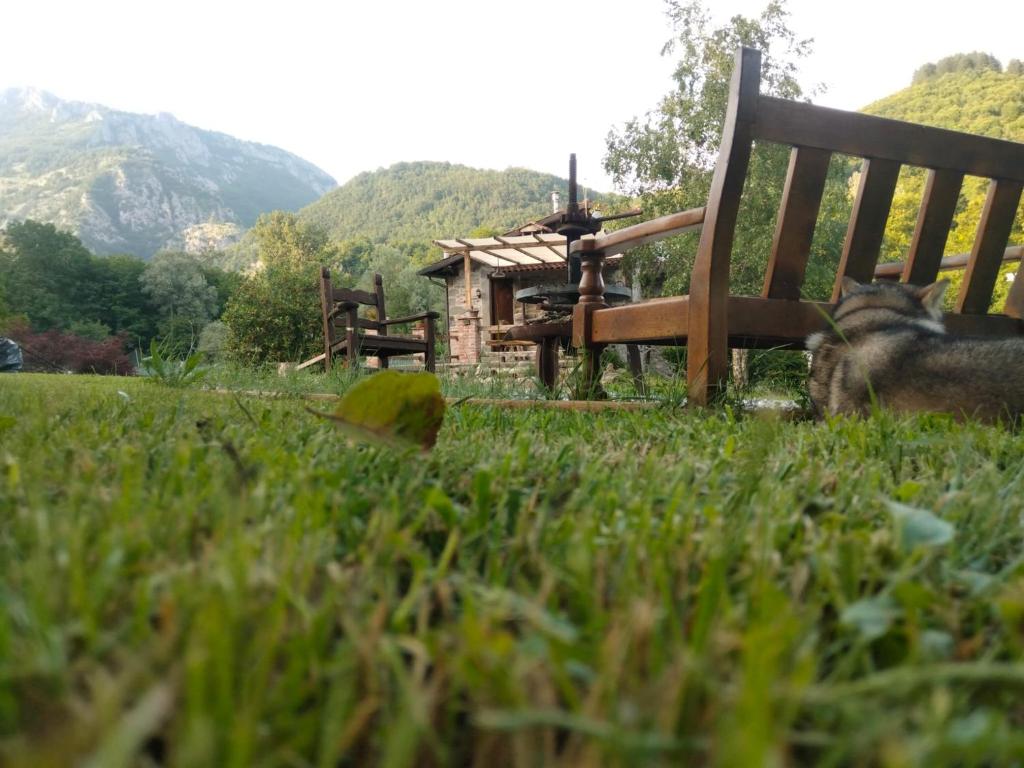Le Macine
