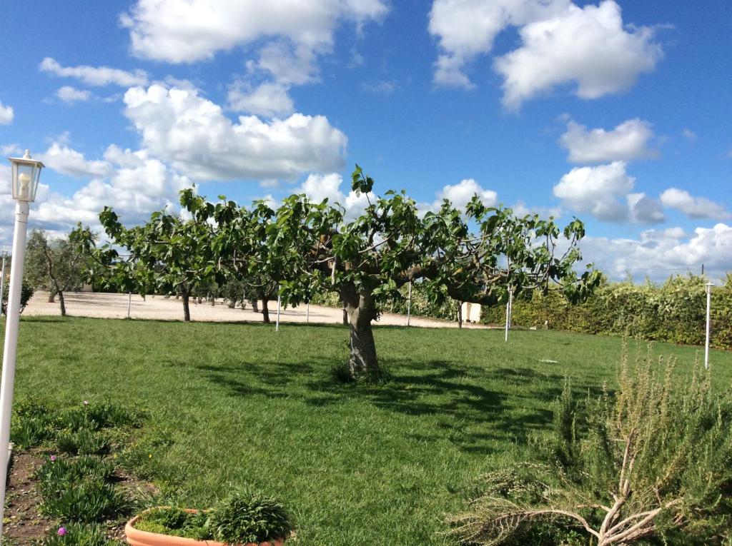 LA MASSARÌA agriresort