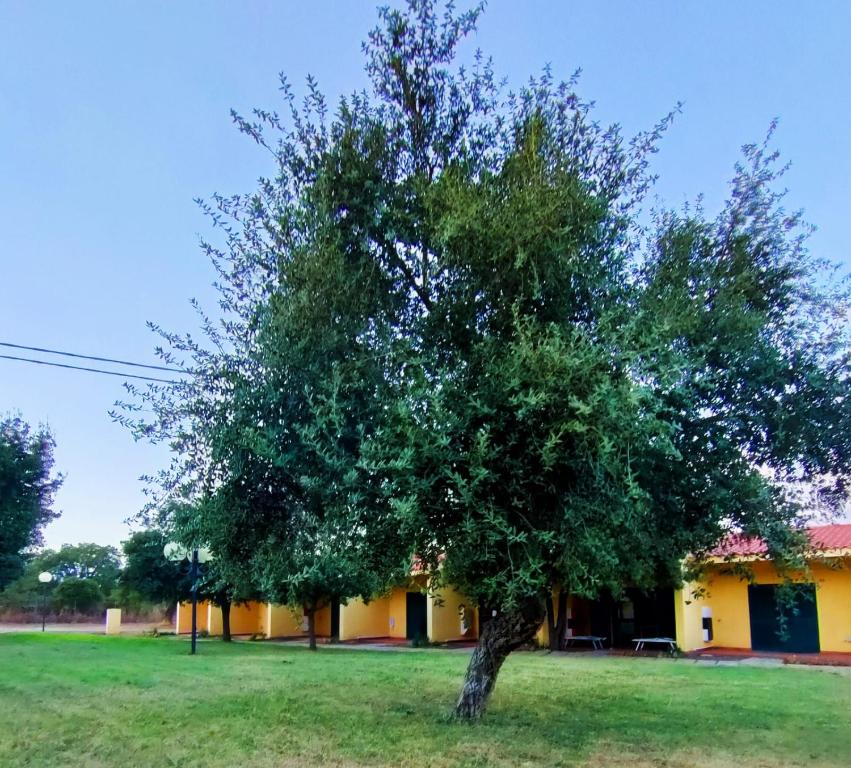 Nuraghe Ruiu Camping & Bungalow