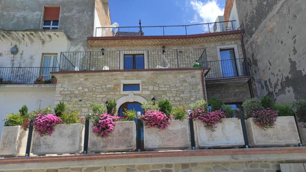B&B Celeste - Palazzo D'Addario