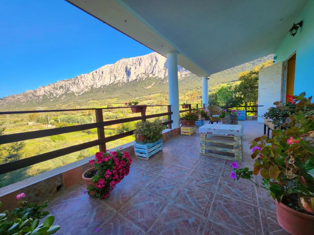 Panoramic House