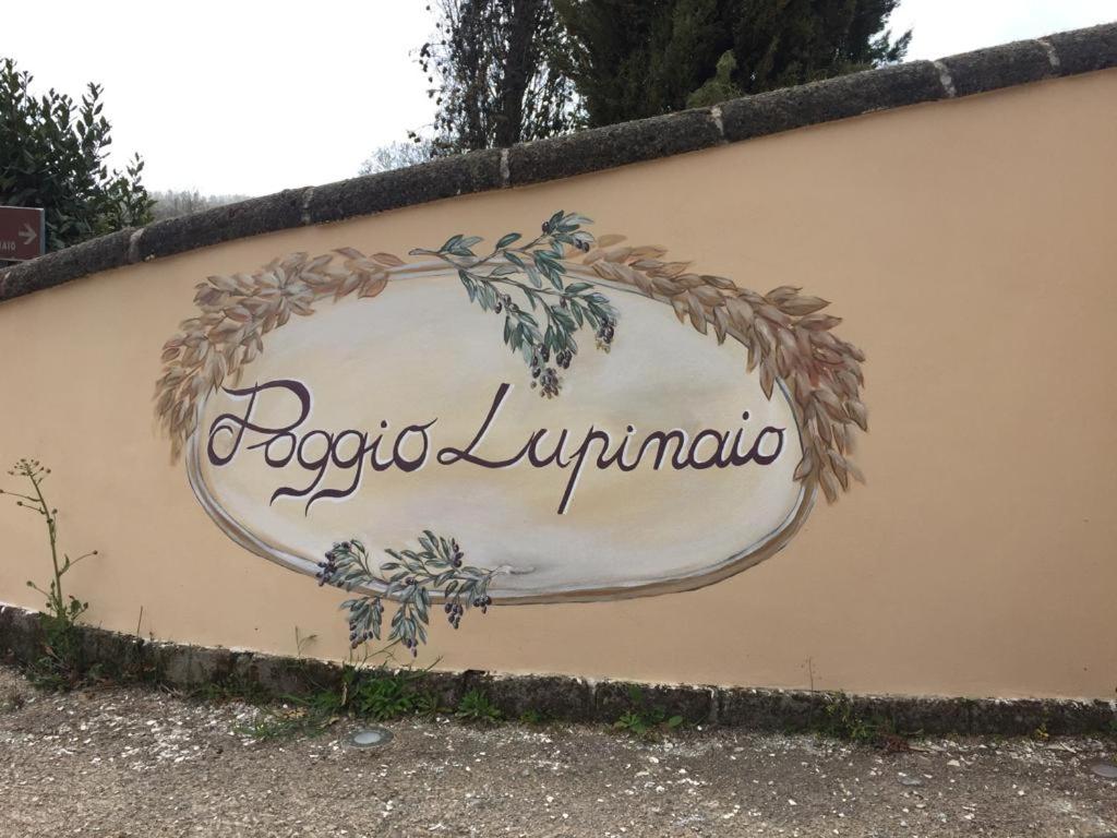 Podere Poggio Lupinaio