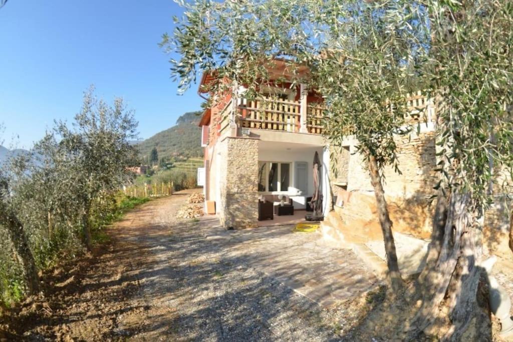Podere San Martino