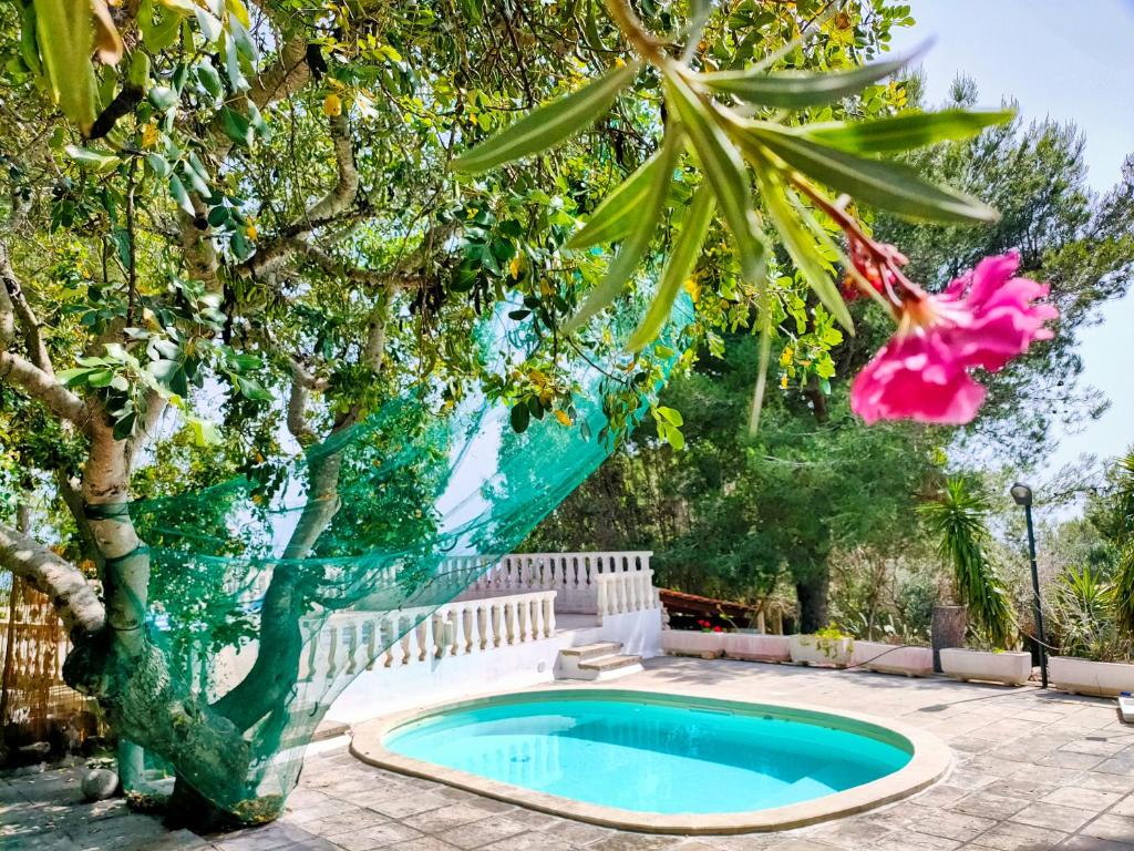 Residence Mariposa - Apartments & Rooms