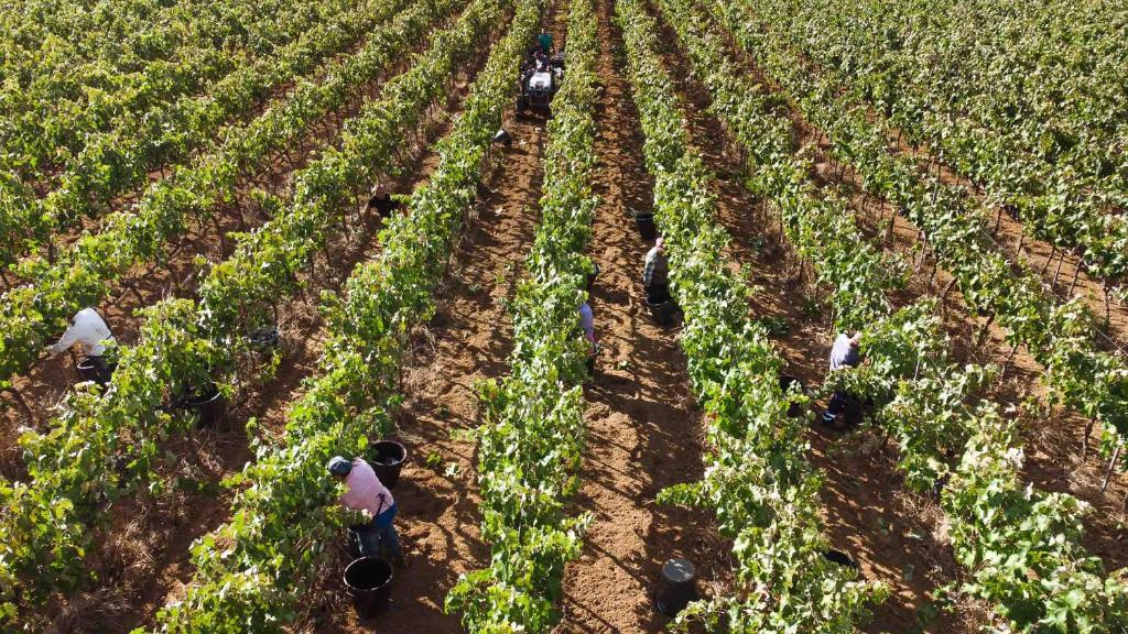 Tenuta Doxi