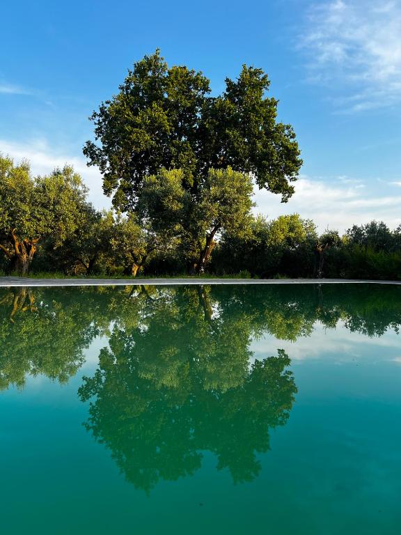 Tenuta Paino