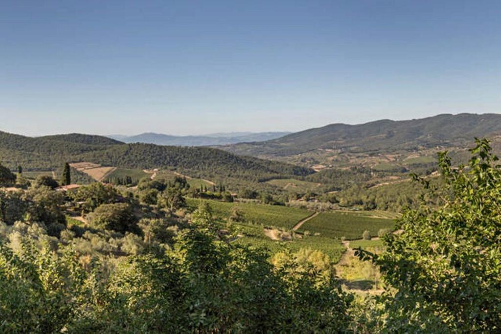 Terrazza a Campana
