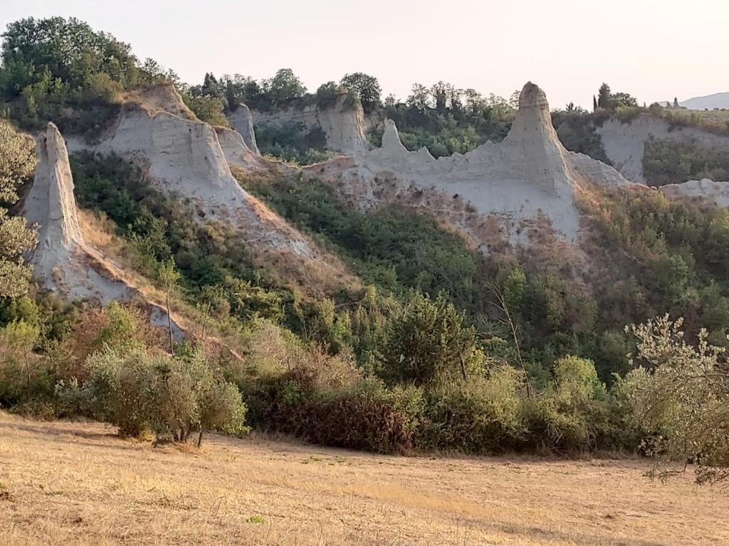 Tinti Chianti Certaldo Tuscany