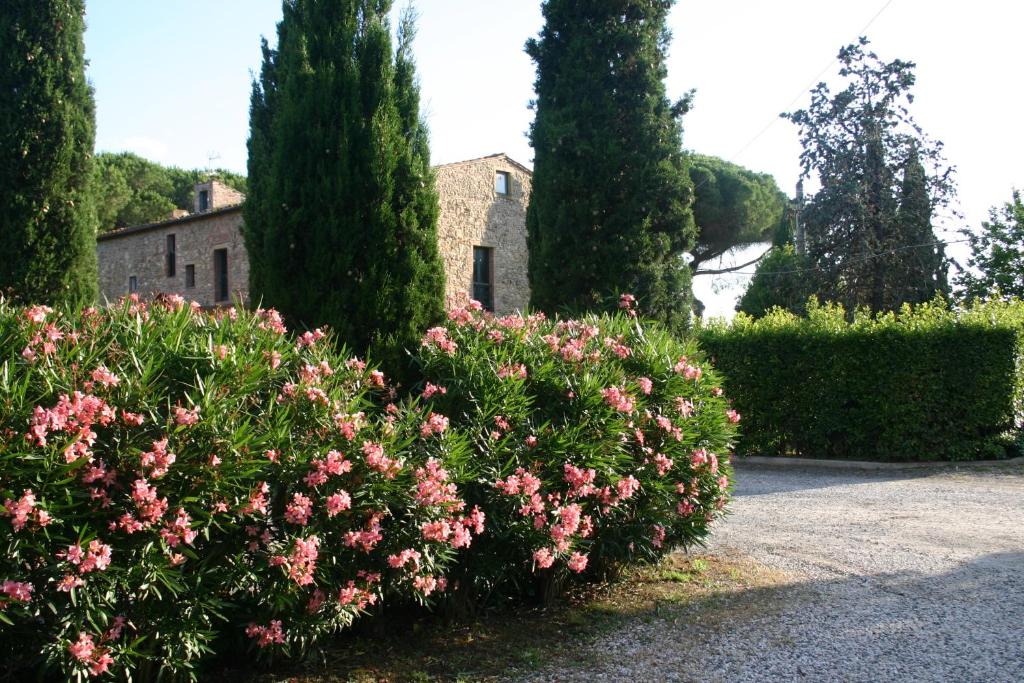 Casaleaurelia