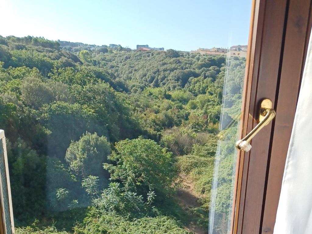 Valley View Apartment