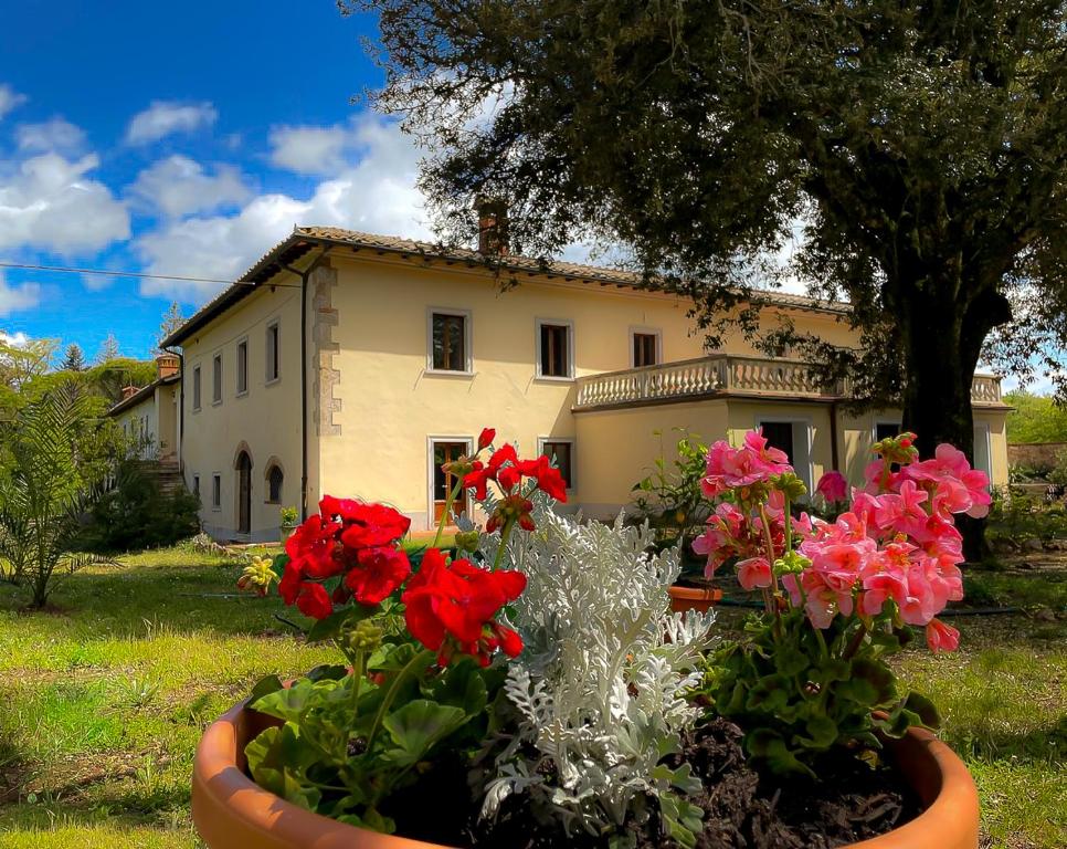 Villa Mucellena