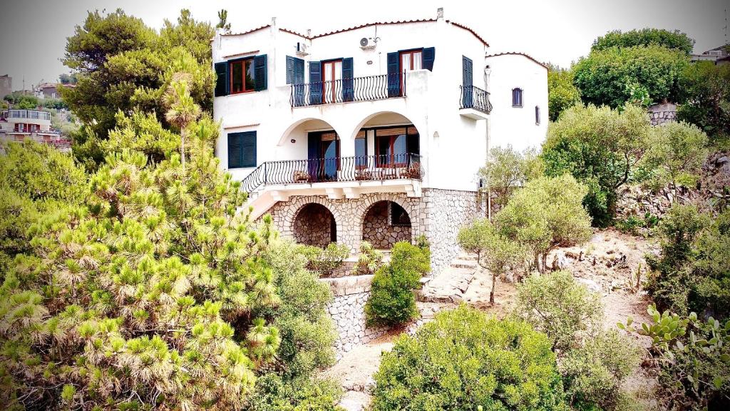 Villa Rosanna