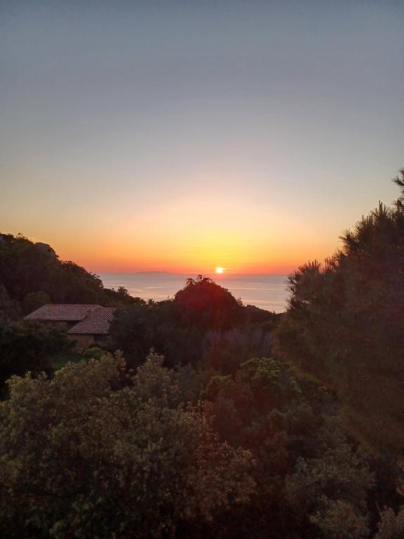 Villa La Lecceta surrounded by greenery and sea view with sunset
